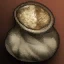 Beer Recipe: Rye
