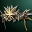 Circlet of Storm
