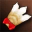 cat_foot