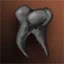 Bone Fragment