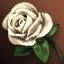 เครื่องหมายนักวิชาการภาคสนามเปลี่ยนสี