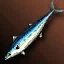 wp_fishing14
