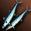 wp_fishing11